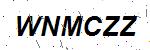 CAPTCHA verification image containing distorted text characters