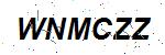 CAPTCHA verification image containing distorted text characters