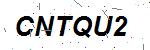 CAPTCHA verification image containing distorted text characters