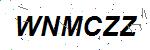 CAPTCHA verification image containing distorted text characters