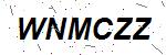 CAPTCHA verification image containing distorted text characters