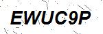 CAPTCHA verification image containing distorted text characters