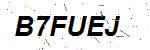 CAPTCHA verification image containing distorted text characters