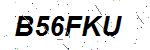 CAPTCHA verification image containing distorted text characters