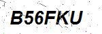 CAPTCHA verification image containing distorted text characters