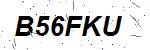 CAPTCHA verification image containing distorted text characters