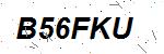 CAPTCHA verification image containing distorted text characters