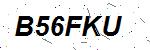 CAPTCHA verification image containing distorted text characters