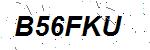 CAPTCHA verification image containing distorted text characters
