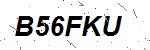 CAPTCHA verification image containing distorted text characters