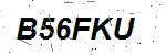 CAPTCHA verification image containing distorted text characters