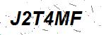 CAPTCHA verification image containing distorted text characters