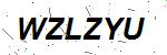 CAPTCHA verification image containing distorted text characters