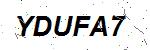 CAPTCHA verification image containing distorted text characters