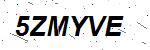 CAPTCHA verification image containing distorted text characters