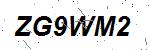 CAPTCHA verification image containing distorted text characters