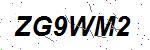 CAPTCHA verification image containing distorted text characters