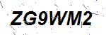 CAPTCHA verification image containing distorted text characters