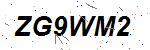 CAPTCHA verification image containing distorted text characters