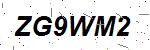 CAPTCHA verification image containing distorted text characters