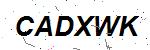 CAPTCHA verification image containing distorted text characters