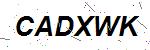 CAPTCHA verification image containing distorted text characters