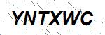 CAPTCHA verification image containing distorted text characters