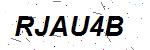 CAPTCHA verification image containing distorted text characters