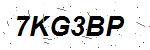 CAPTCHA verification image containing distorted text characters