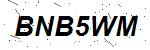 CAPTCHA verification image containing distorted text characters