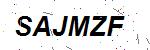 CAPTCHA verification image containing distorted text characters