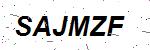 CAPTCHA verification image containing distorted text characters
