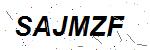CAPTCHA verification image containing distorted text characters
