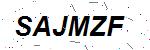 CAPTCHA verification image containing distorted text characters