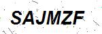 CAPTCHA verification image containing distorted text characters