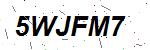 CAPTCHA verification image containing distorted text characters