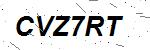 CAPTCHA verification image containing distorted text characters