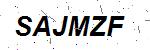 CAPTCHA verification image containing distorted text characters