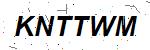 CAPTCHA verification image containing distorted text characters