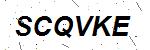 CAPTCHA verification image containing distorted text characters