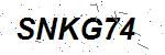 CAPTCHA verification image containing distorted text characters
