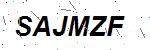 CAPTCHA verification image containing distorted text characters