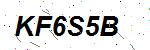 CAPTCHA verification image containing distorted text characters