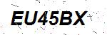 CAPTCHA verification image containing distorted text characters