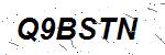 CAPTCHA verification image containing distorted text characters