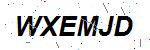 CAPTCHA verification image containing distorted text characters