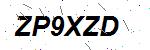 CAPTCHA verification image containing distorted text characters