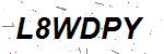 CAPTCHA verification image containing distorted text characters