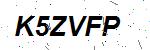 CAPTCHA verification image containing distorted text characters