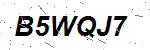 CAPTCHA verification image containing distorted text characters